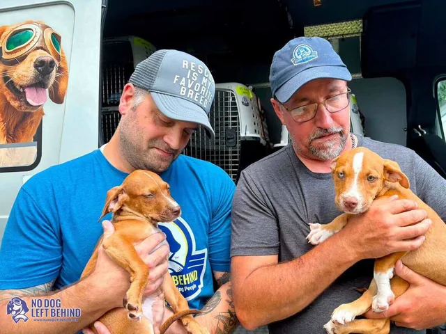 Two volunteers in caps each cradle a rescued puppy in the open doorway of a transport aircraft