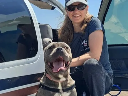 Zara, a gray pit bull, sits open-mouthed at the open door of a small aircraft next to a kneeling volunteer in a Pilots N Paws shirt